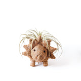 Triceratops Planter - Coco Coir Pots | from LIKHÂ