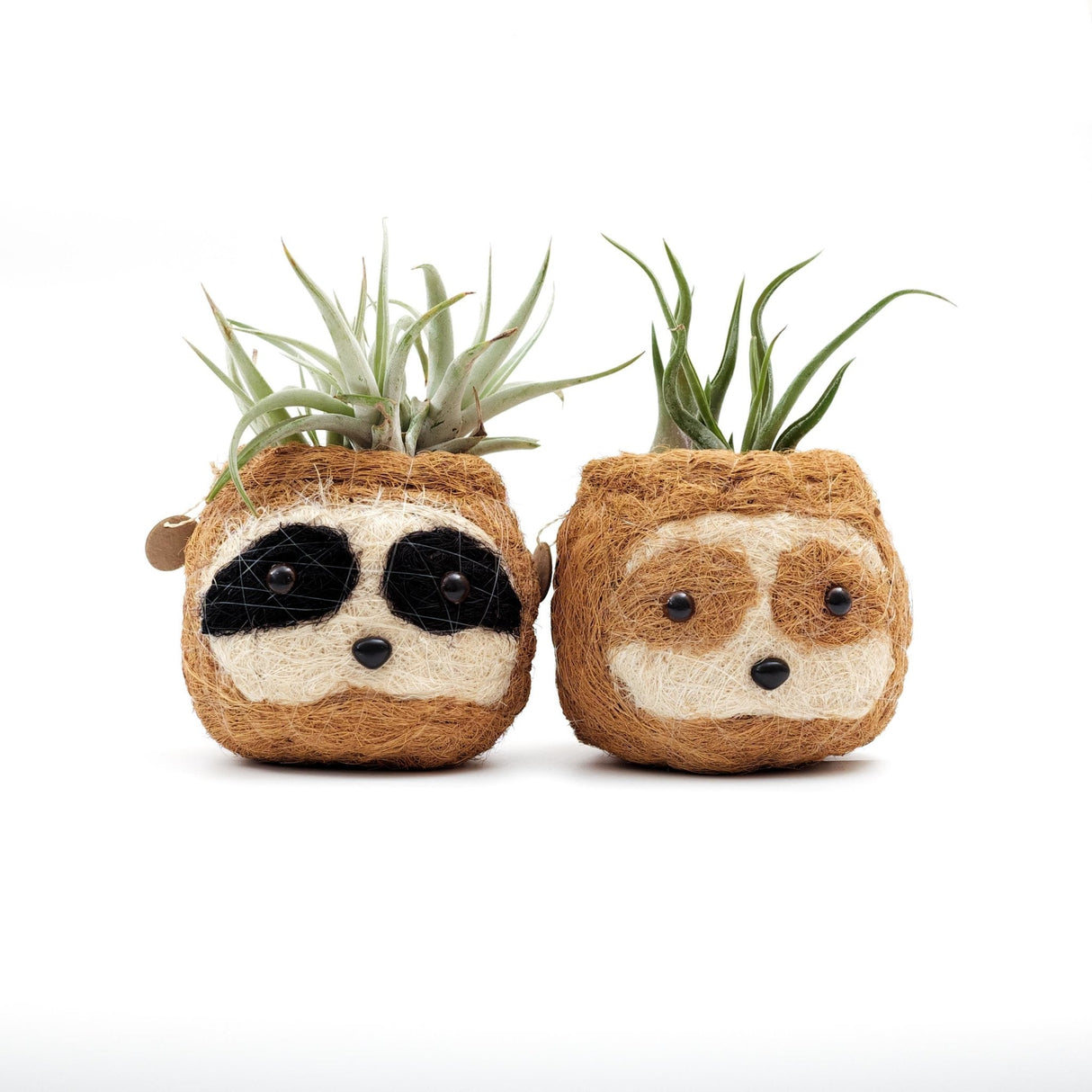 Two-tone Sloth Coco Coir Planter - Handmade Planters | from LIKHÂ