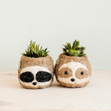 Two-tone Sloth Coco Coir Planter - Handmade Planters | from LIKHÂ