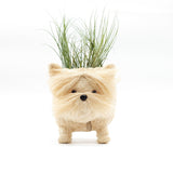 Westie Planter - Coco Coir Pots | from LIKHÂ
