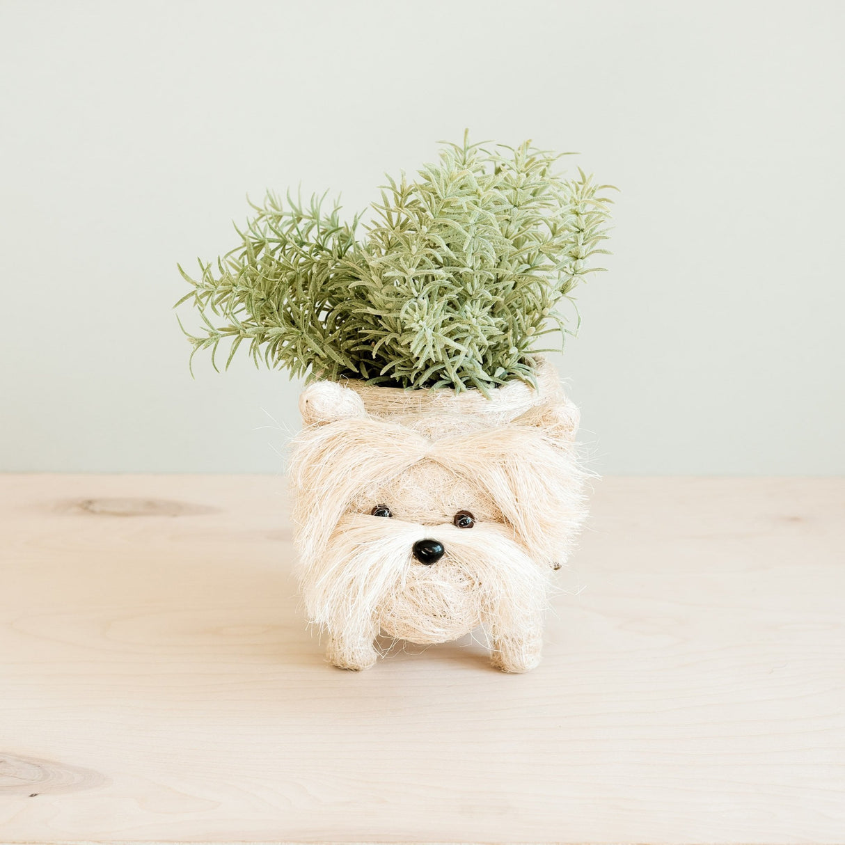 Westie Planter - Coco Coir Pots | from LIKHÂ