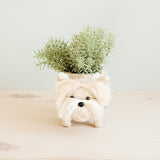 Westie Planter - Coco Coir Pots | from LIKHÂ