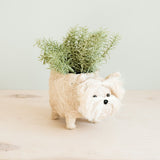 Westie Planter - Coco Coir Pots | from LIKHÂ