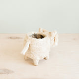 Westie Planter - Coco Coir Pots | from LIKHÂ