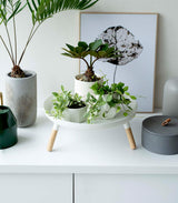 Countertop Pedestal Tray (5" H)  - Steel + Wood from Yamazaki Home