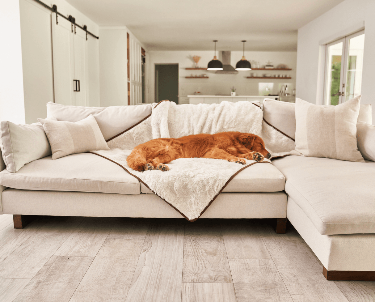 PupProtector™ Summer Short Fur Waterproof Throw Blanket - Polar White from Paw.com