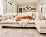 PupProtector™ Summer Short Fur Waterproof Throw Blanket - Polar White from Paw.com