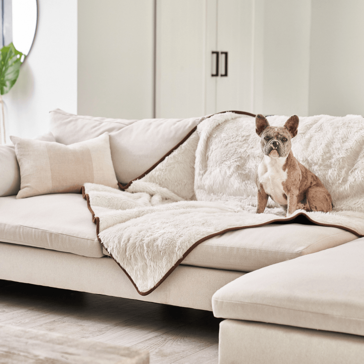 PupProtector™ Summer Short Fur Waterproof Throw Blanket - Polar White from Paw.com