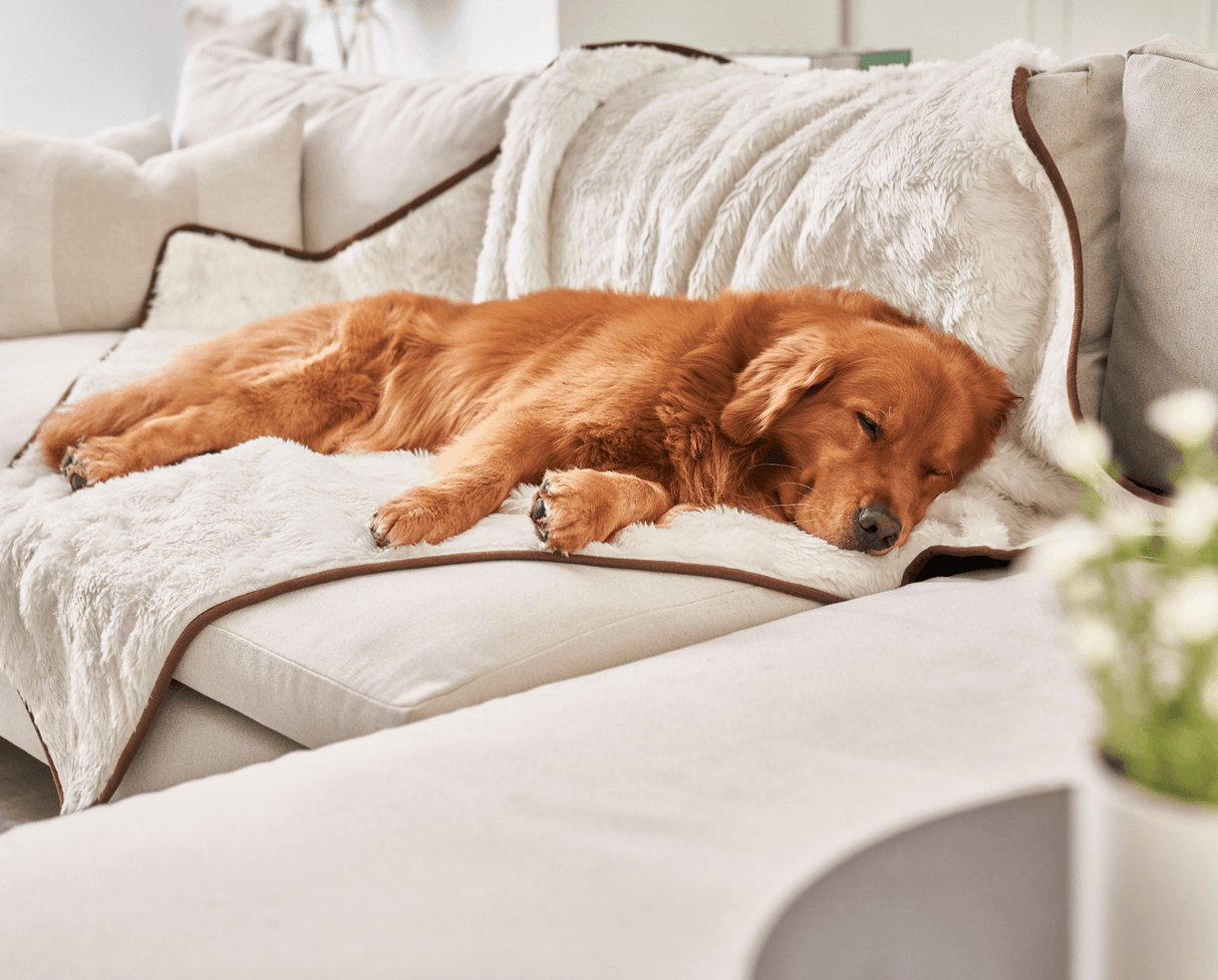 PupProtector™ Summer Short Fur Waterproof Throw Blanket - Polar White from Paw.com
