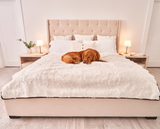 PupProtector™ Summer Short Fur Waterproof Throw Blanket - Polar White from Paw.com