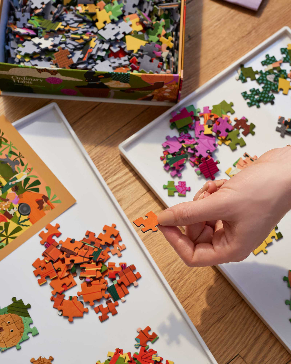 Poodle Society Puzzle from Ordinary Habit