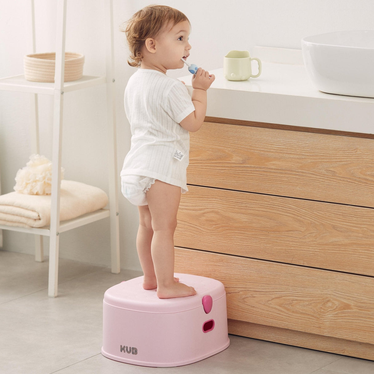 Potty Training Toilet