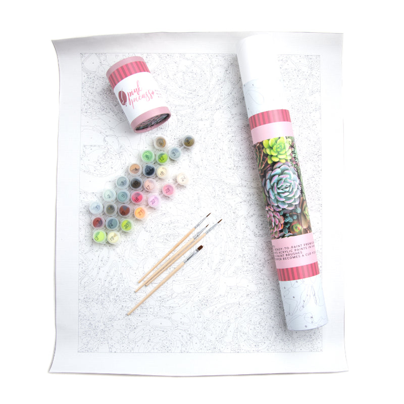 Sensitive Succulents From Pink Picasso Kits