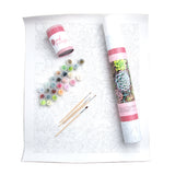 Sensitive Succulents From Pink Picasso Kits