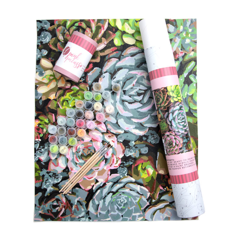 Sensitive Succulents From Pink Picasso Kits