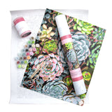 Sensitive Succulents From Pink Picasso Kits