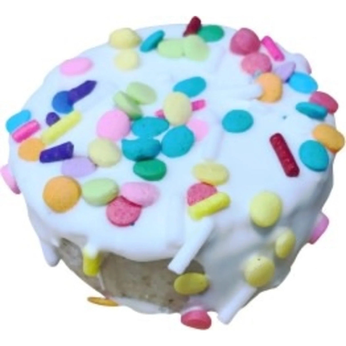 Tiny Birthday Cake from The Family Pet