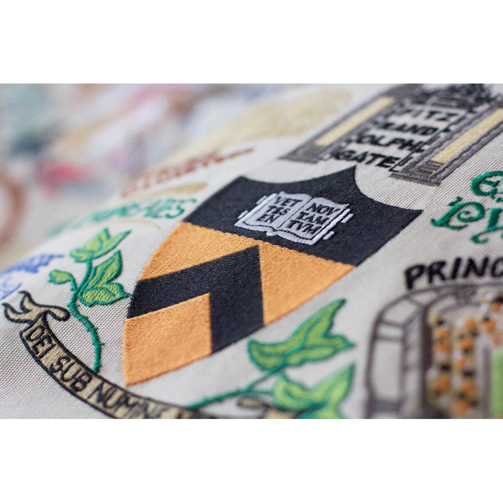 Princeton University Collegiate Embroidered Pillow by CatStudio from Quirks!