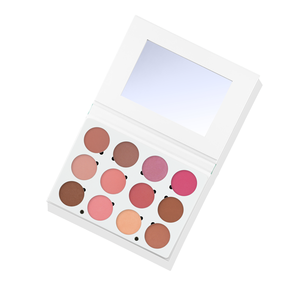 Pro Palette - Blush From Ofra Cosmetics