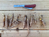 Professional Gardener's Knife - For Pruning, Grafting and Propagation from The Celtic Farm