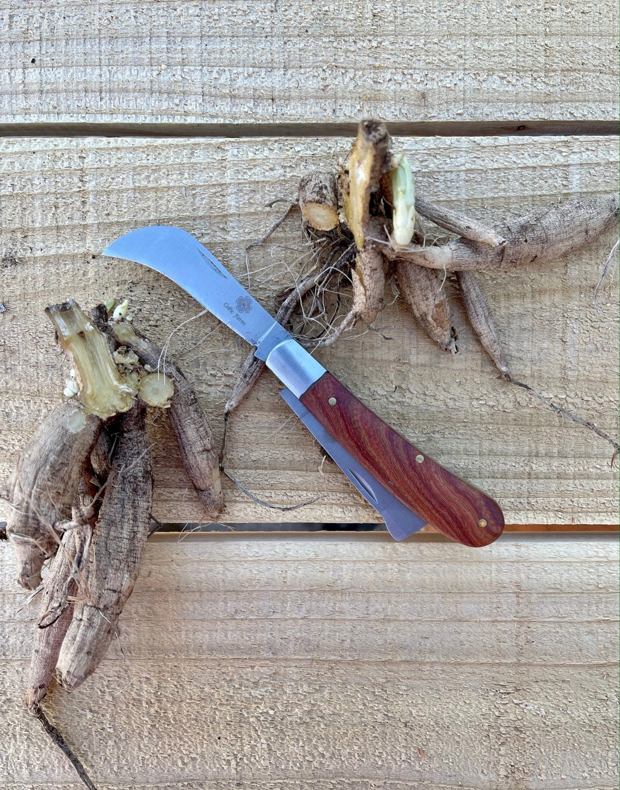 Professional Gardener's Knife - For Pruning, Grafting and Propagation from The Celtic Farm