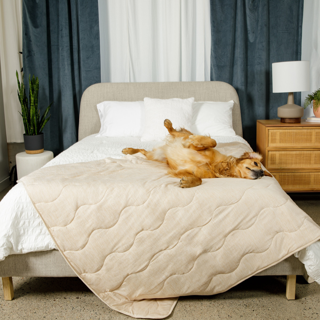 PupChill™ Cooling Waterproof Blanket - Arctic Sand from Paw.com
