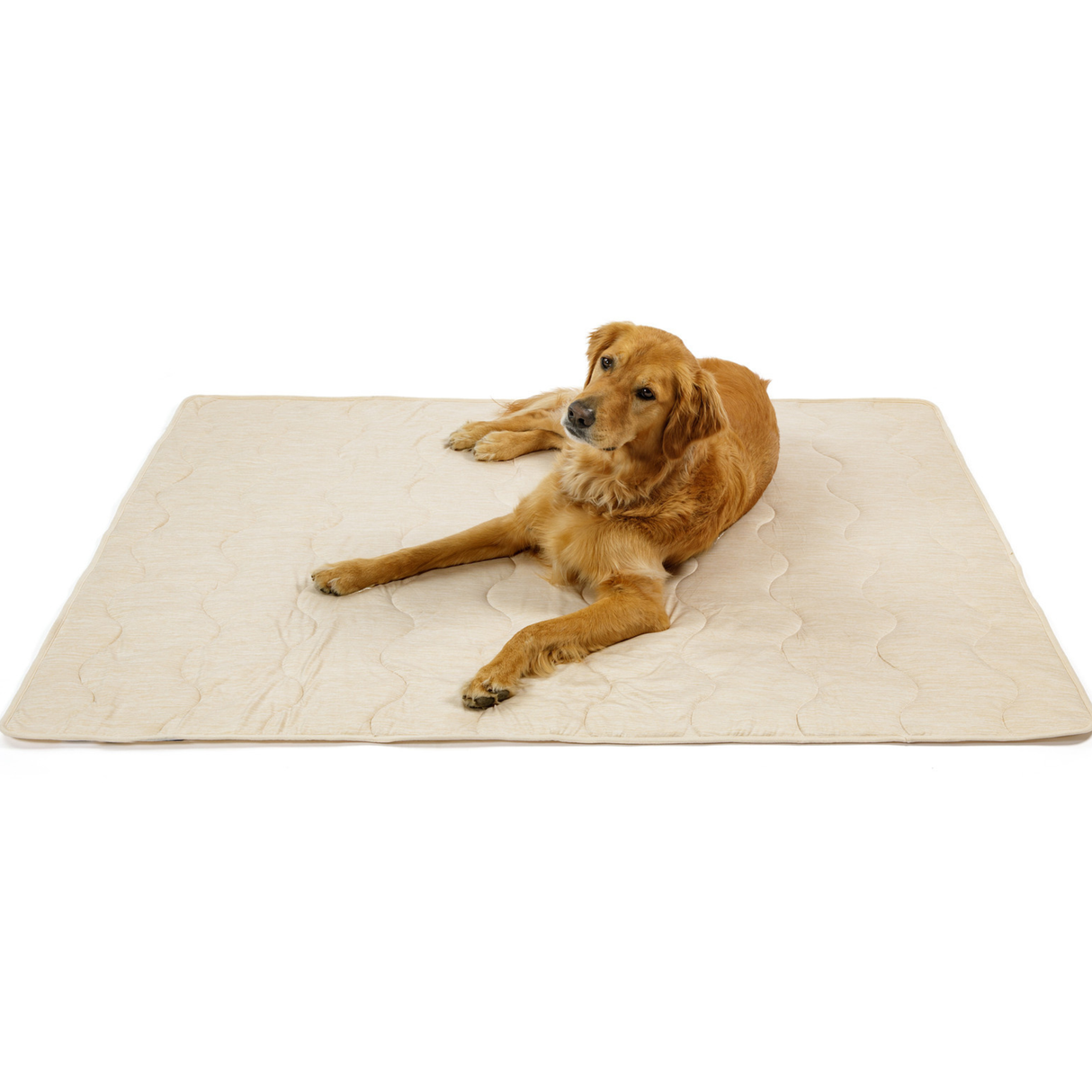 PupChill™ Cooling Waterproof Blanket - Arctic Sand from Paw.com