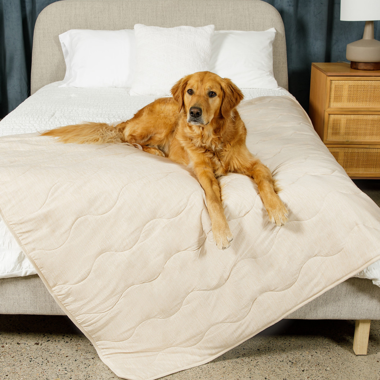 PupChill™ Cooling Waterproof Blanket - Arctic Sand from Paw.com