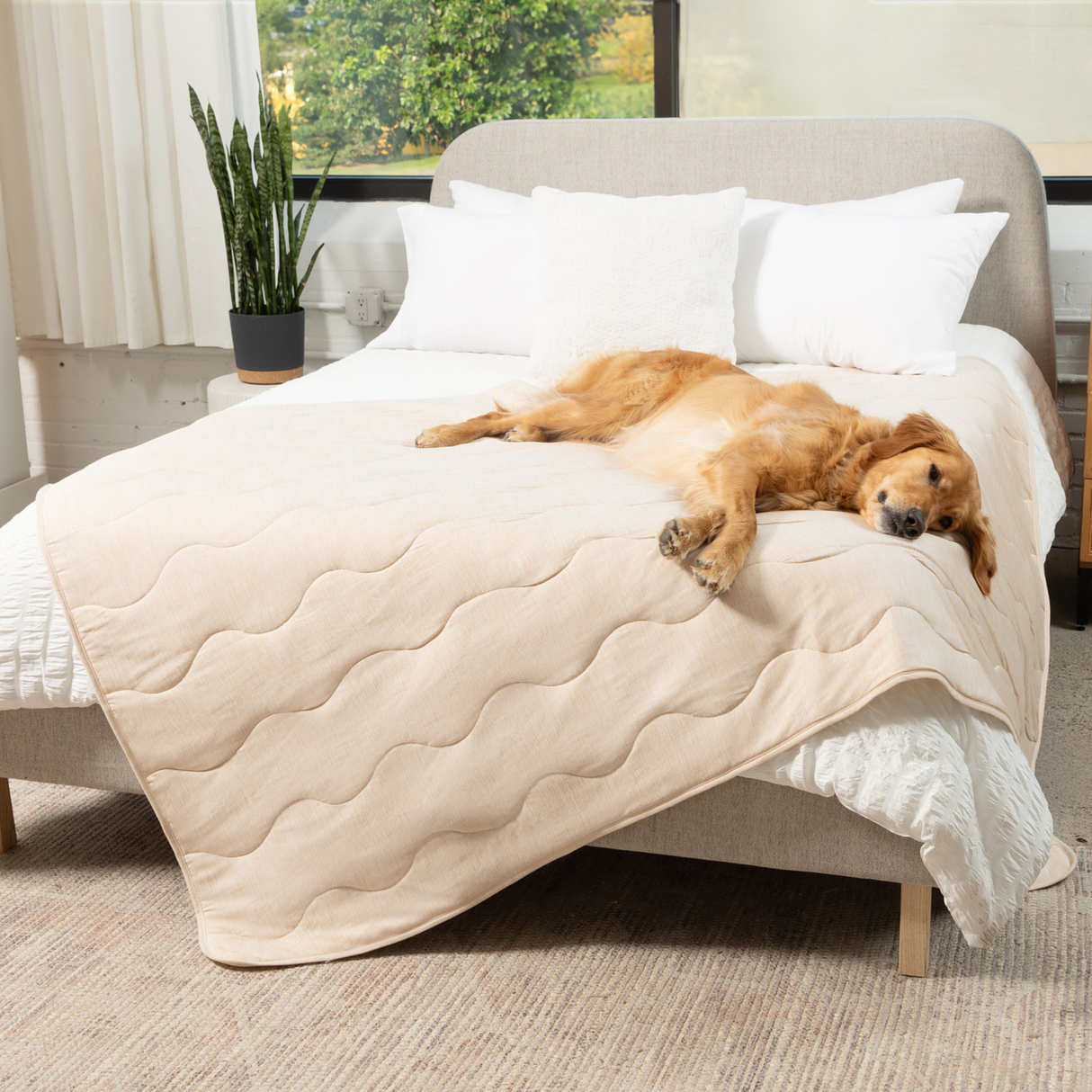 PupChill™ Cooling Waterproof Blanket - Arctic Sand from Paw.com