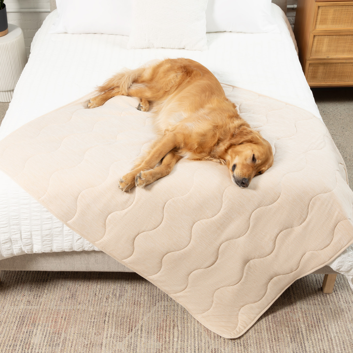 PupChill™ Cooling Waterproof Blanket - Arctic Sand from Paw.com