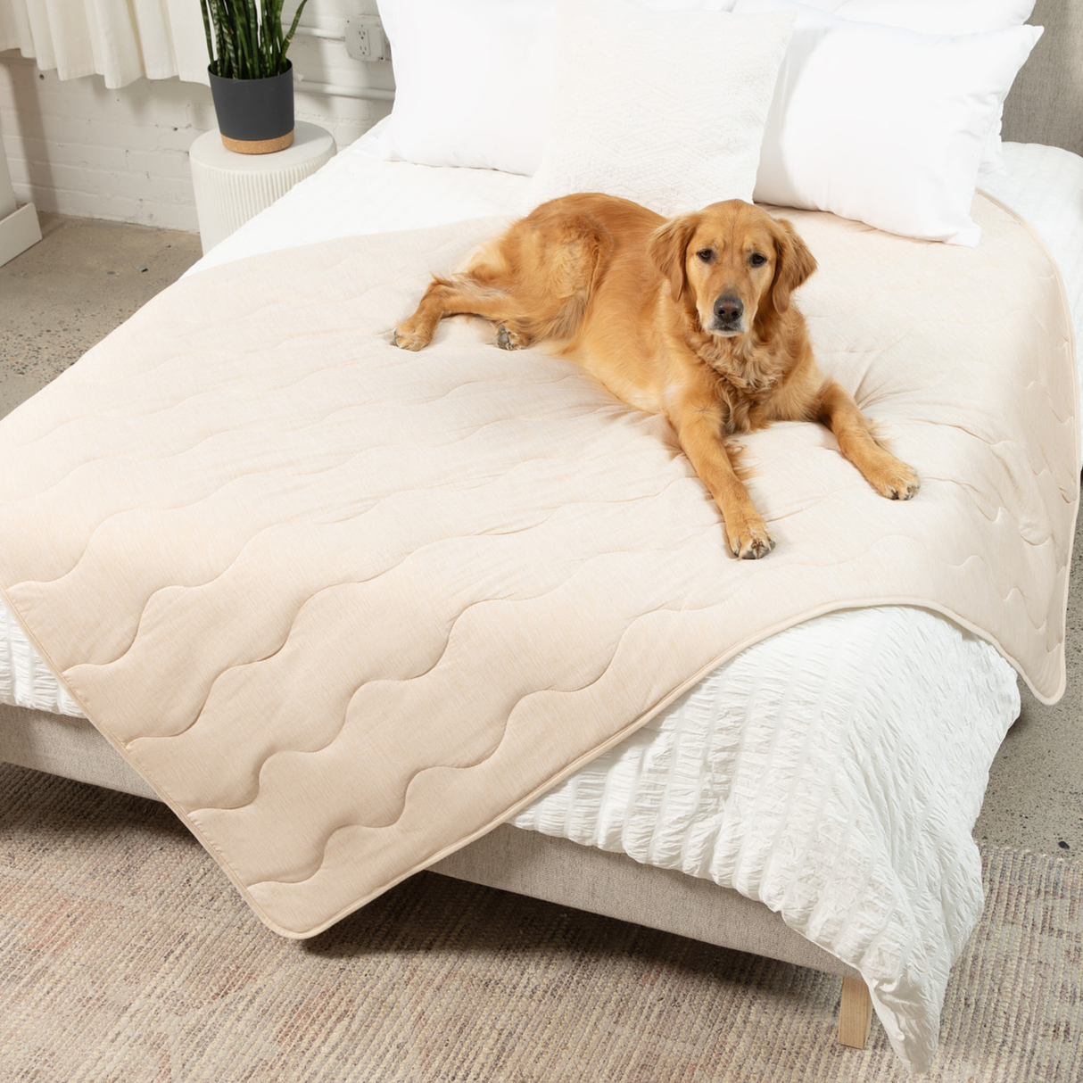PupChill™ Cooling Waterproof Blanket - Arctic Sand from Paw.com