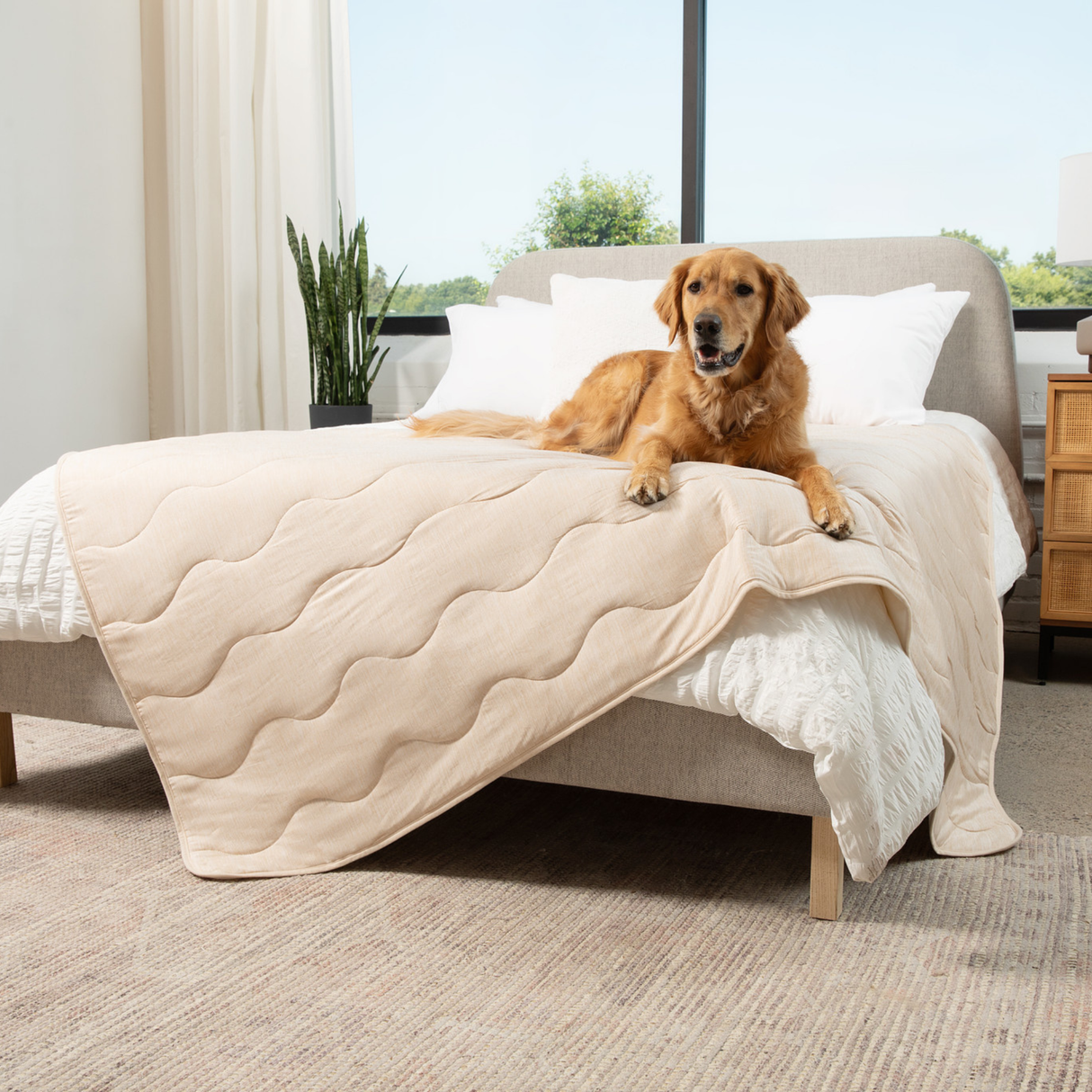 PupChill™ Cooling Waterproof Blanket - Arctic Sand from Paw.com