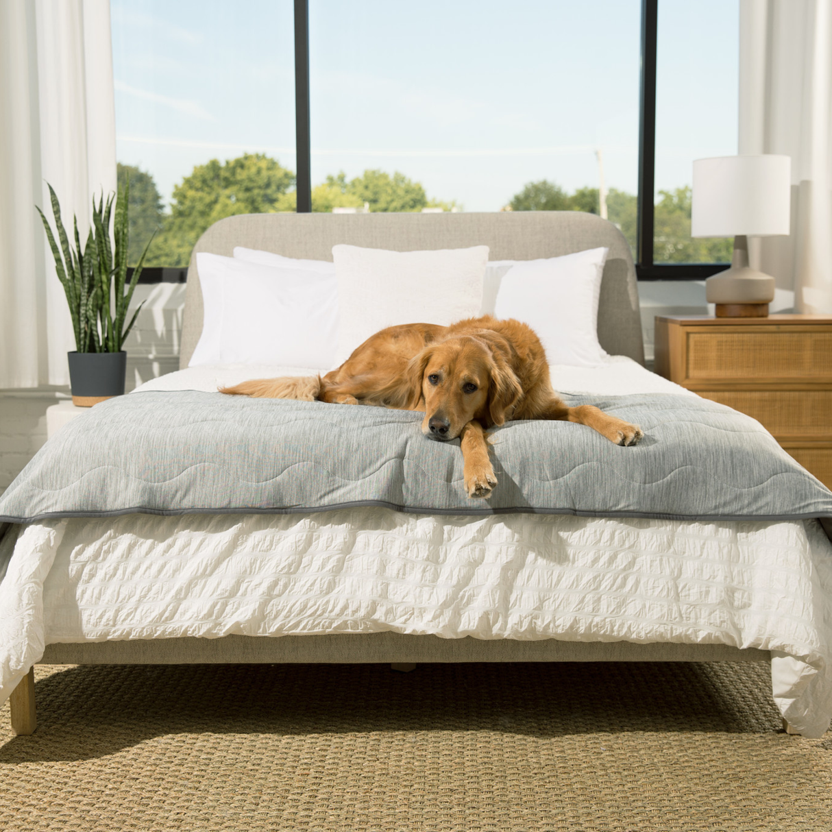 PupChill™ Cooling Waterproof Runner Blanket - Arctic Grey from Paw.com