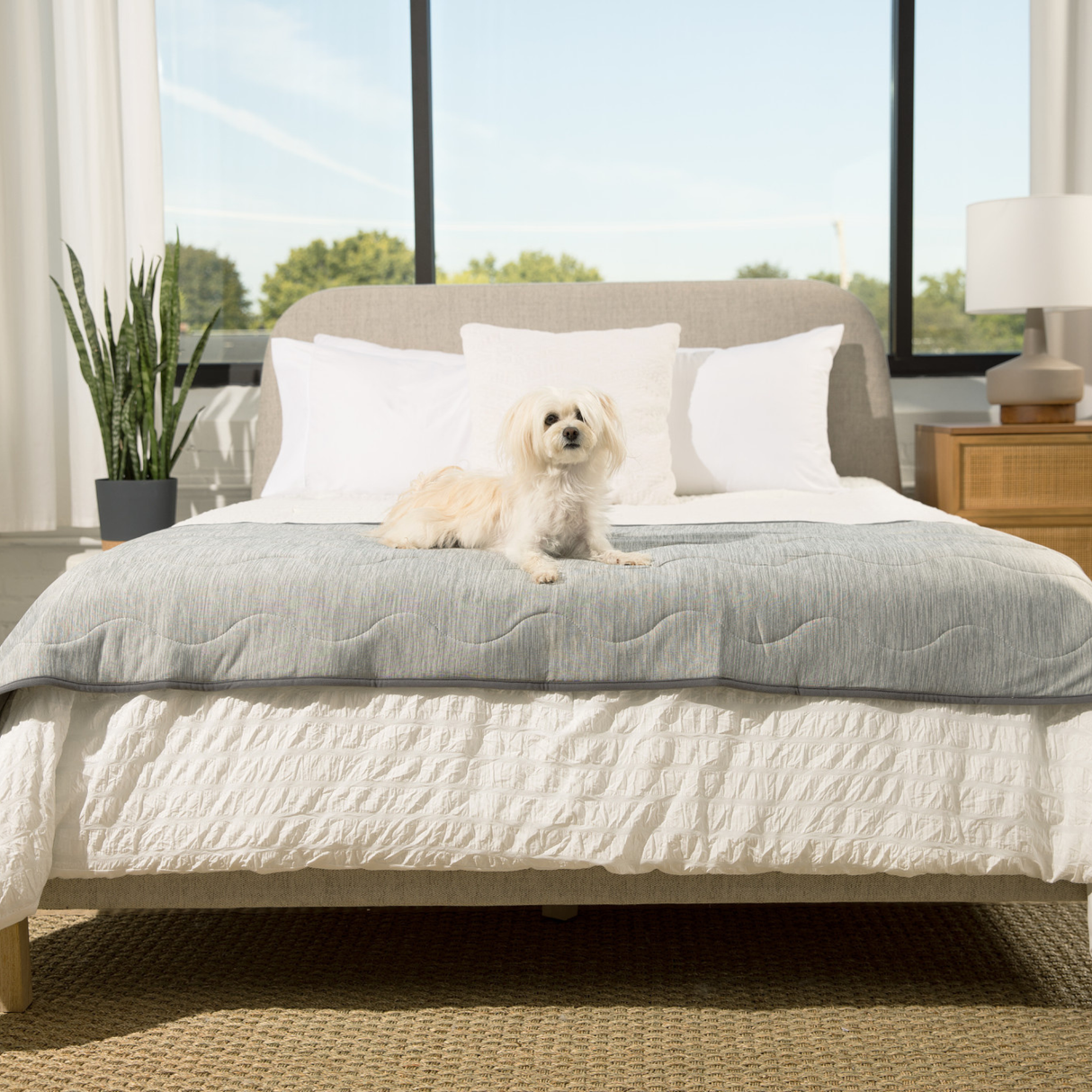PupChill™ Cooling Waterproof Runner Blanket - Arctic Grey from Paw.com