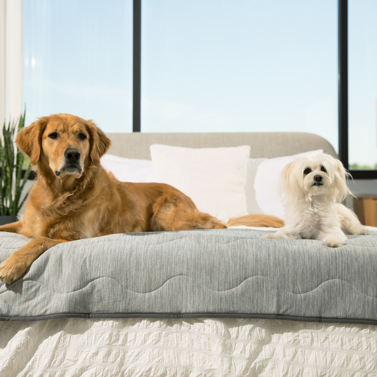 PupChill™ Cooling Waterproof Runner Blanket - Arctic Grey from Paw.com