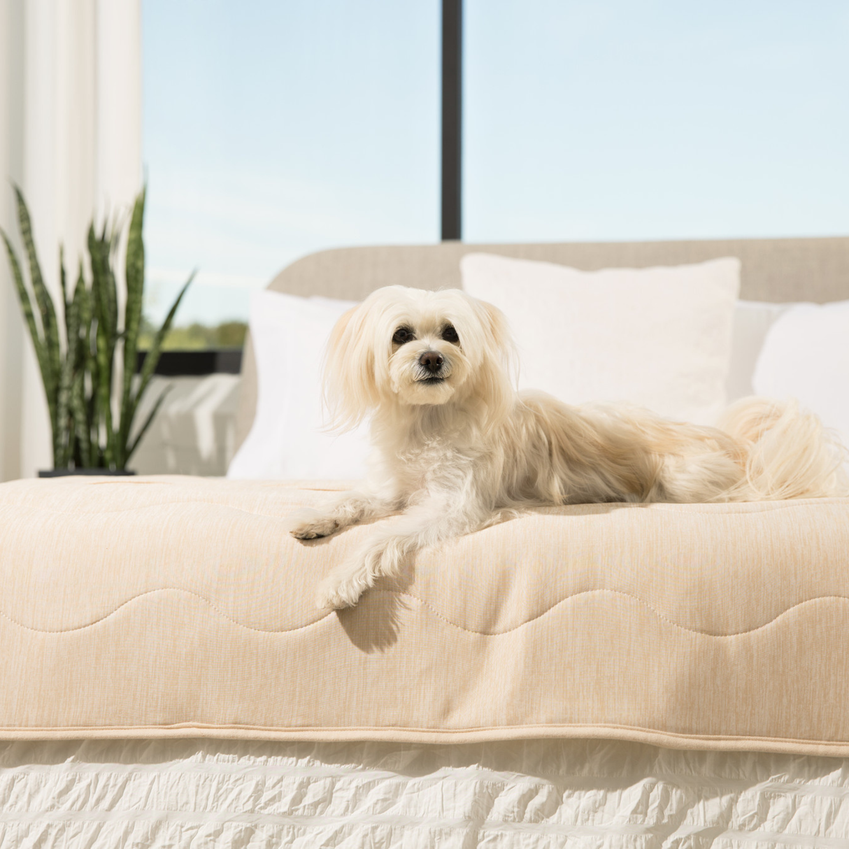 PupChill™ Cooling Waterproof Runner Blanket - Arctic Sand from Paw.com
