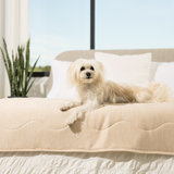 PupChill™ Cooling Waterproof Runner Blanket - Arctic Sand from Paw.com