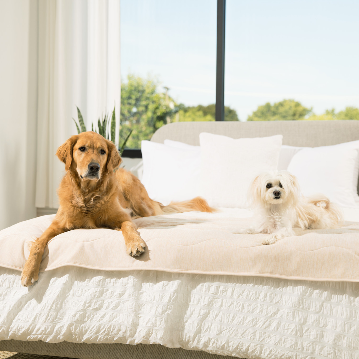 PupChill™ Cooling Waterproof Runner Blanket - Arctic Sand from Paw.com