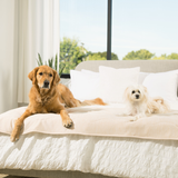 PupChill™ Cooling Waterproof Runner Blanket - Arctic Sand from Paw.com