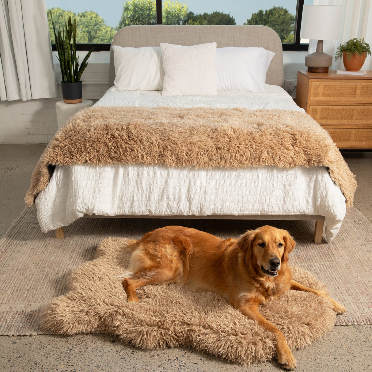 PupRug™ Luxe Faux Fur Orthopedic Dog Bed -  Plush Sheep Tan from Paw.com