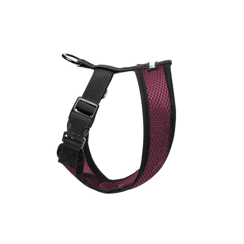 Comfort X Harness from Gooby
