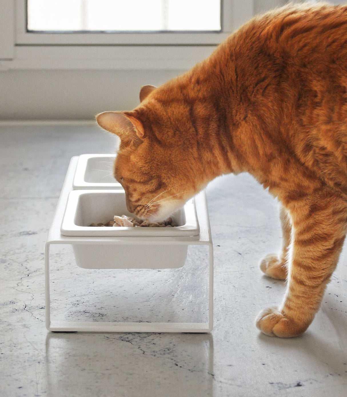 Pet Food Bowl from Yamazaki Home