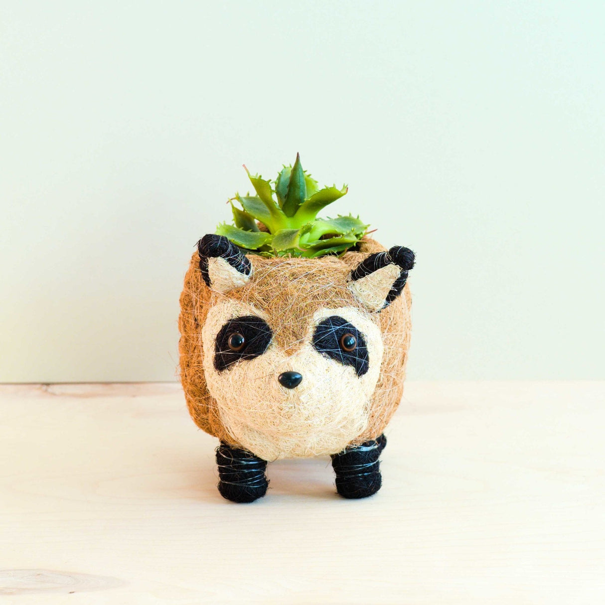 Raccoon Planter - Handmade Plant Pot | From LIKHÂ