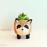 Raccoon Planter - Handmade Plant Pot | From LIKHÂ