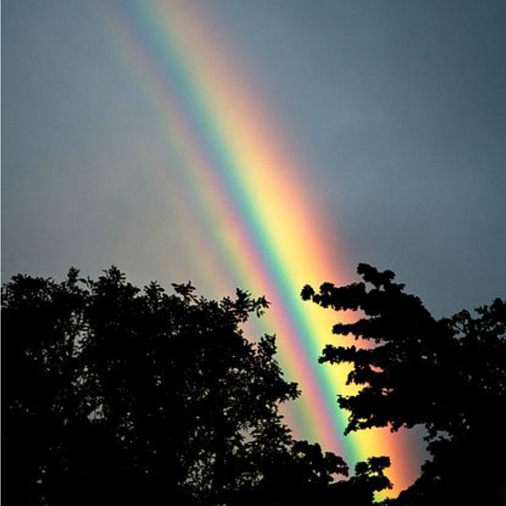Rainbow Blessings from Wicked Good Perfume
