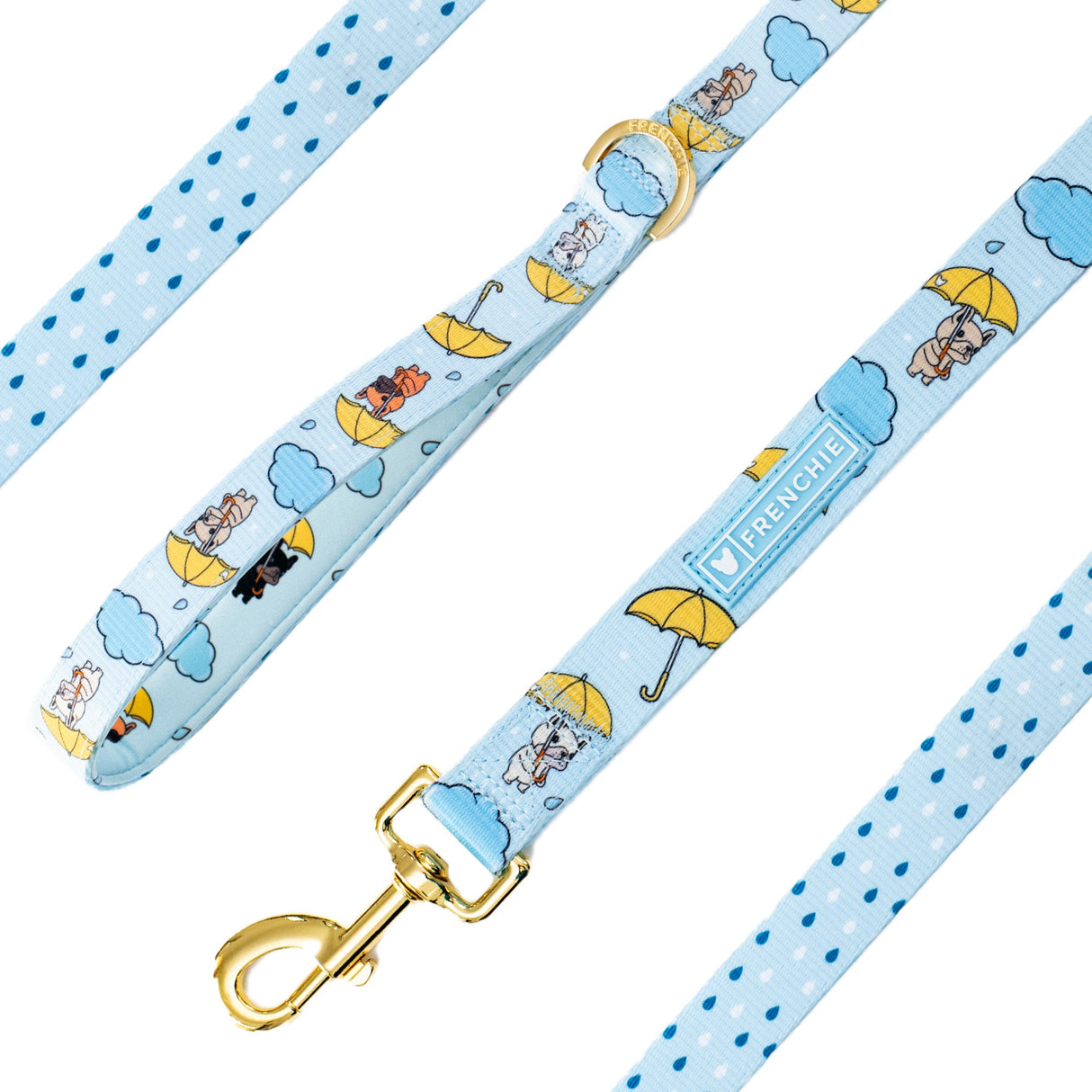 Frenchie Comfort Leash - It's Raining Frenchies from Frenchie Bulldog
