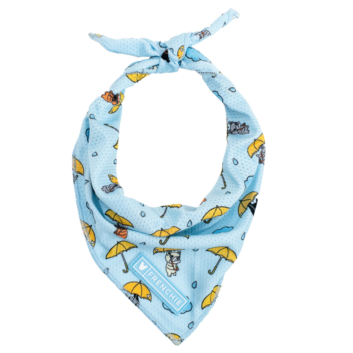 Frenchie Cooling Bandana - It's Raining Frenchies from Frenchie Bulldog