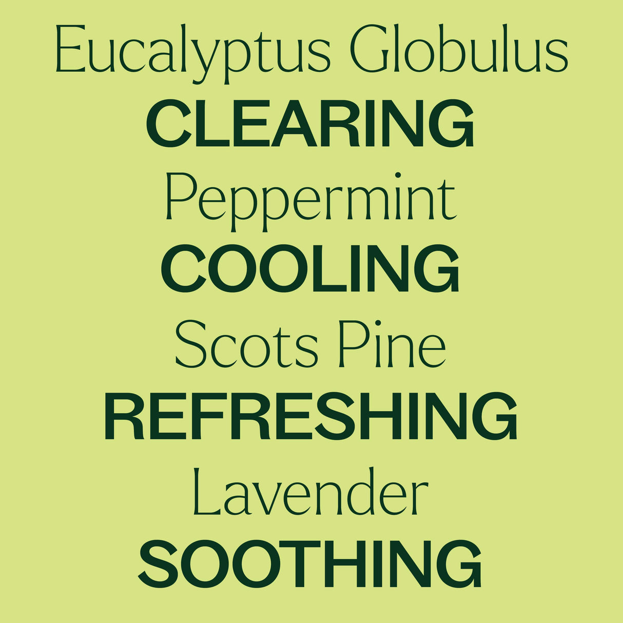 Respir Aid Essential Oil Blend from Plant Therapy