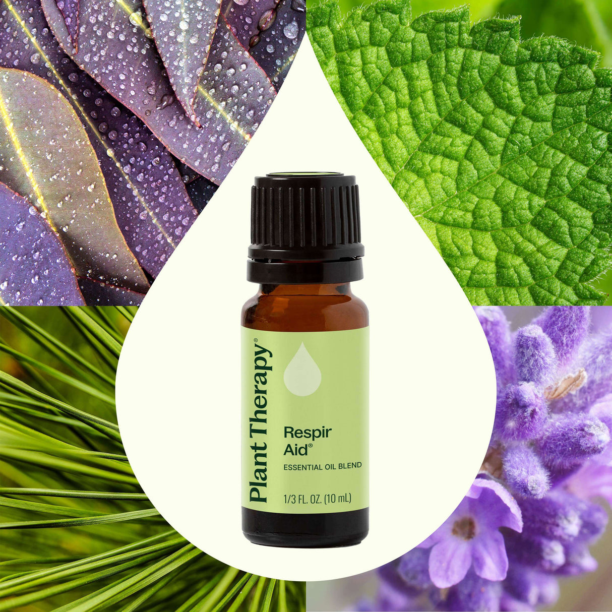 Respir Aid Essential Oil Blend from Plant Therapy