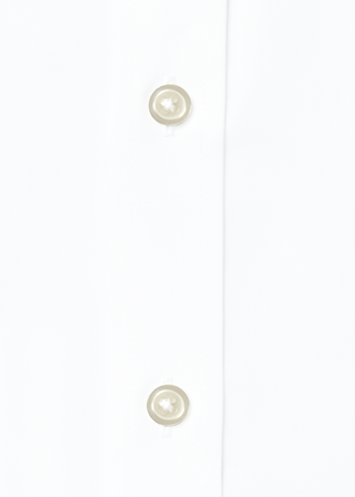Essential Green Line Shirt - Classic Fit from Atica Man